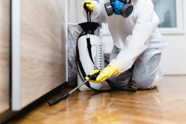 Best Residential Pest Control  in Winder, GA