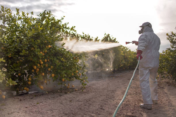 Best Mosquito Control Services  in Winder, GA