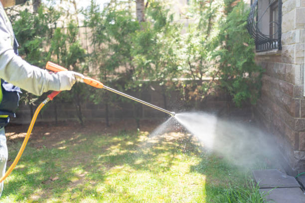 Best Best Pest Control Companies  in Winder, GA