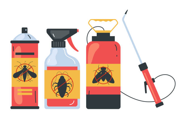 Best Spider Control Near Me  in Winder, GA